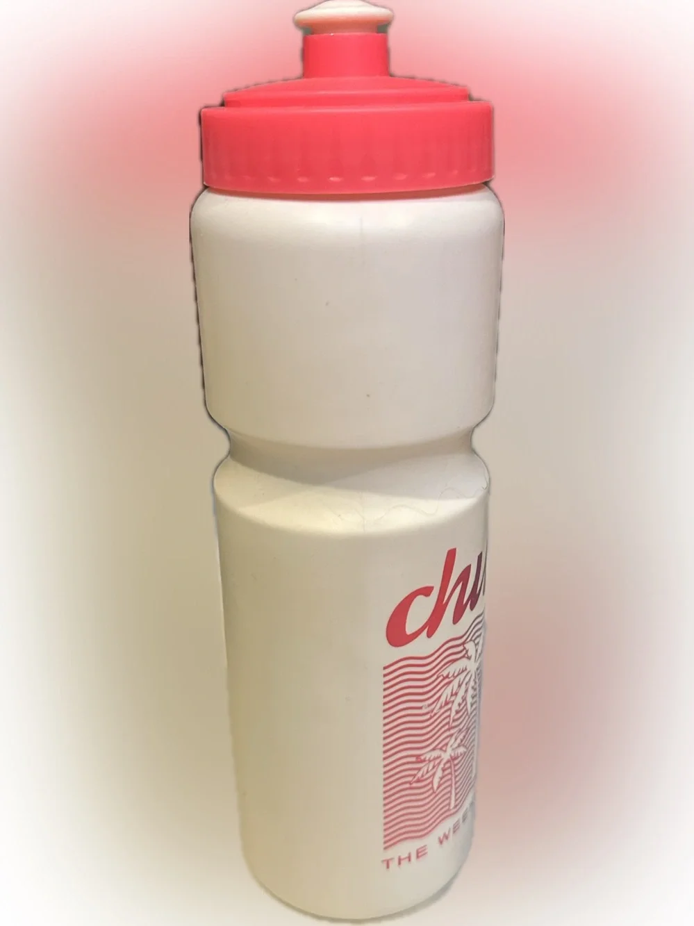 CHUBBIES WATER BOTTLE SQUEEZE WORKOUT SPORTS HYDRATION HYDRATE PINK BLUE WHITE